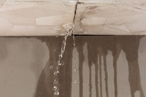 Professional Structural Drying technician working in Andover, MN